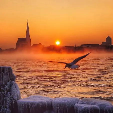 Koralle Apartment Rostock